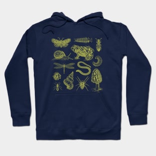 Vintage Biology Goblincore Nature Aesthetic Collection of Frogs, Snails, Moths, Mushrooms Hoodie